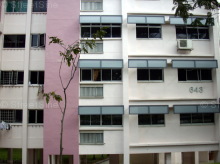 Blk 643 Jurong West Street 61 (Jurong West), HDB 4 Rooms #434702